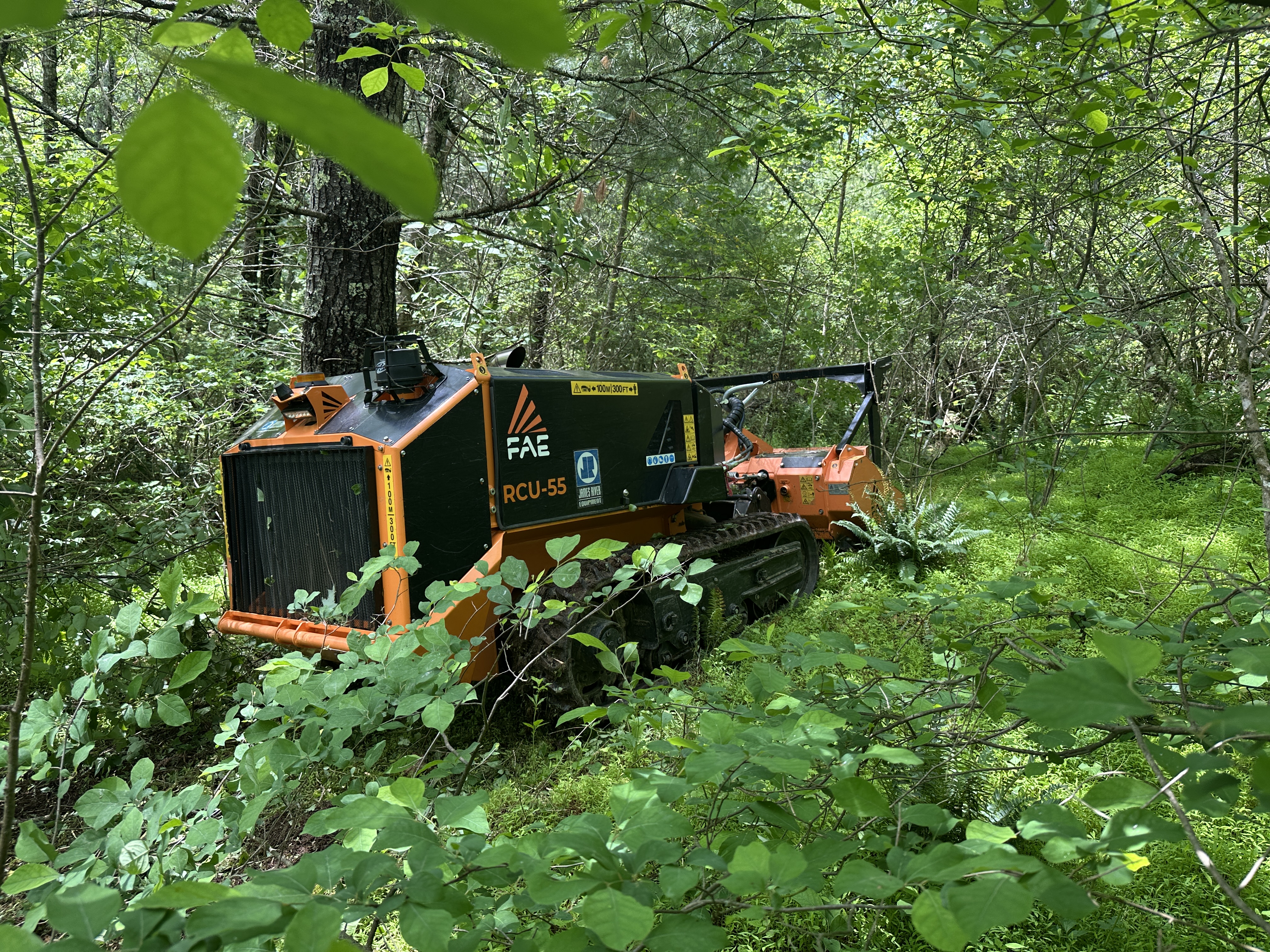 FAE RCU-55 in forest undergrowth