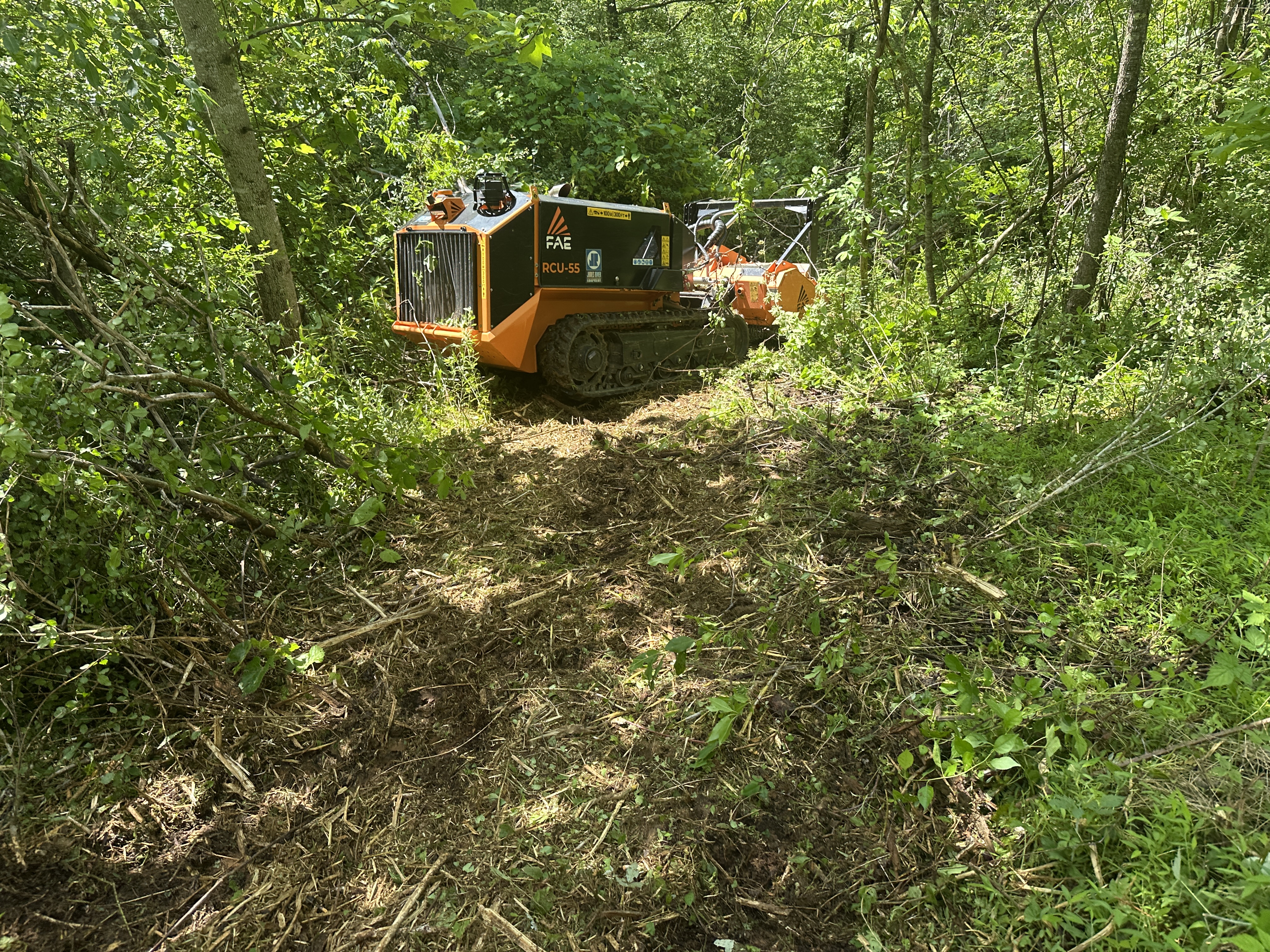 Forestry mulching in dense woods